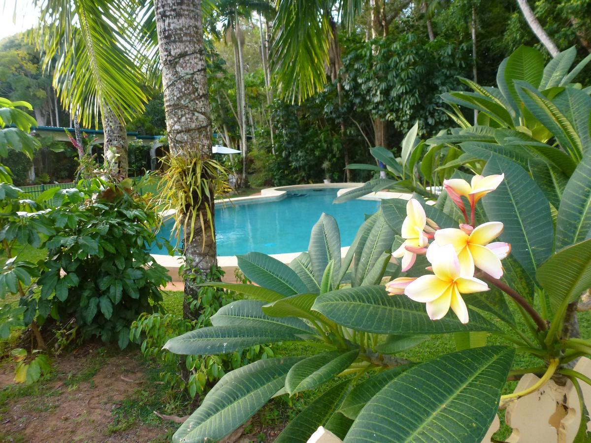 Villa Marine Holiday Apartments Cairns Yorkeys Knob Номер фото